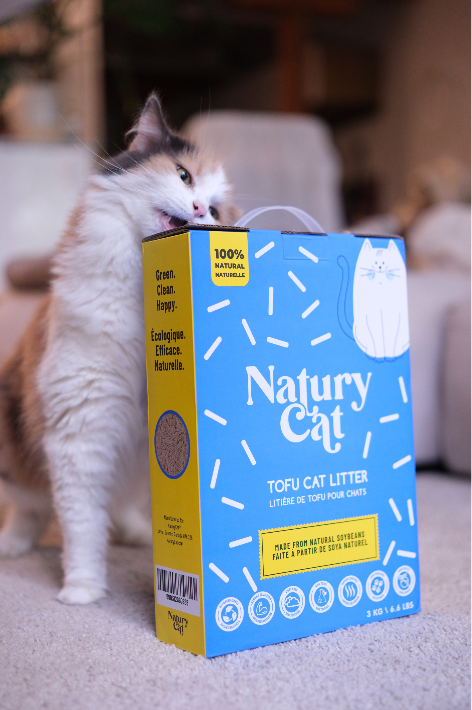Litière de tofu Naturycat – 100% naturelle et vegan pour chats